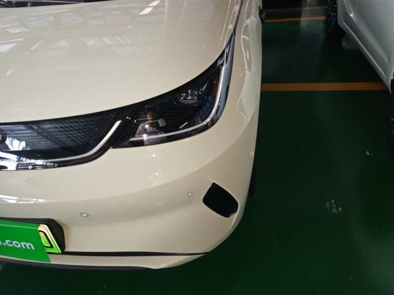 Used BYD Dolphin 2025 Intelligent Driving Version 410 km Fashion Edition — 23