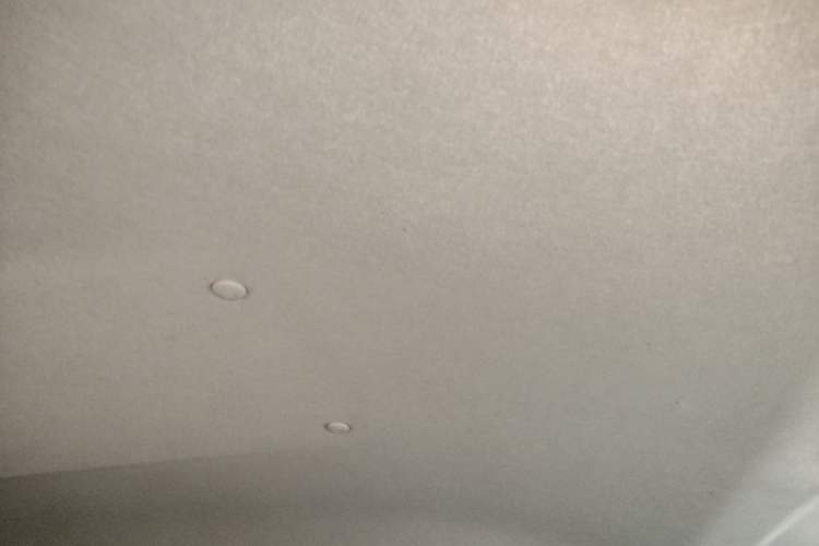 Used FORTHING Lingzhi 2022 M5 1.6L Practical Model 5 Seats