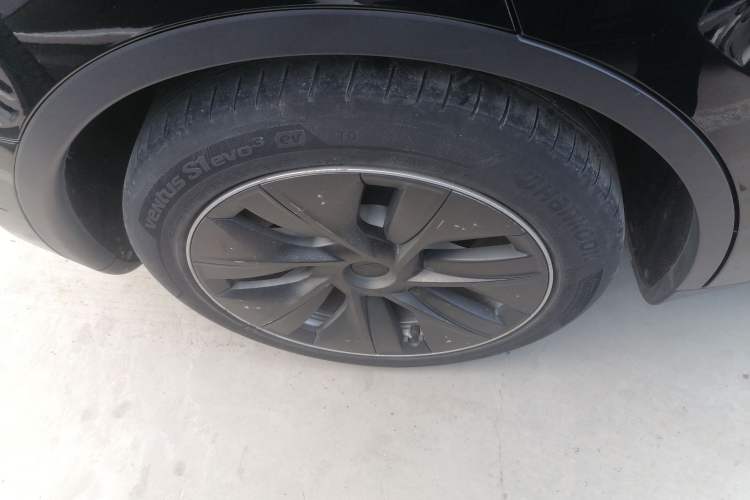 Used Tesla Model Y 2021 Standard Range Rear-Wheel Drive Version Exterior 5