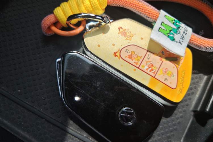 Used Volkswagen ID.4 X 2021 Pro Smart Long-Range Edition Vehicle Key