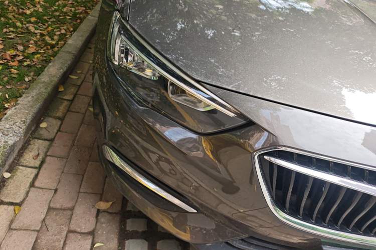 Used Buick Regal 2019 20T Elite Version China V Standard
