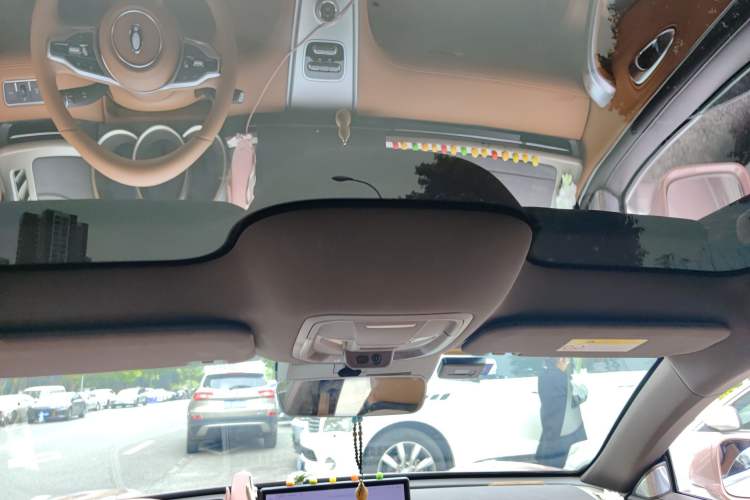 Used ORA Lightning Cat 2022 555 km Luxury Edition Headliner