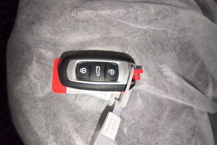 Used Geely Galaxy Panda 2024 Panda Mini 200km Endurance Bear Vehicle Key