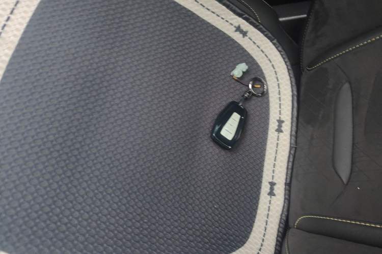 Used Geely Auto Preface 2021 2.0TD Space-Time Edition Starry Celestial