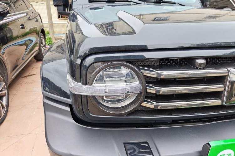 Used Tank 300 2024 2.0T Crosser