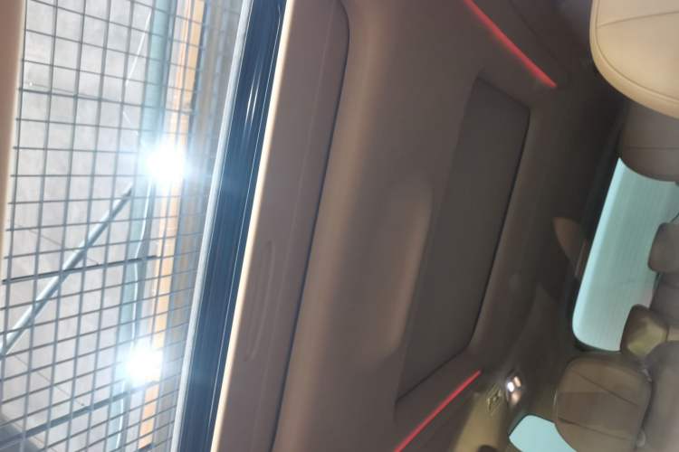 Used VOYAH Dream 2022 Low-Carbon Edition Dream+ Smart Enjoyment Package Headliner