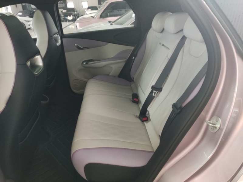 Used BYD Dolphin 2023 401km Knight Edition — 16