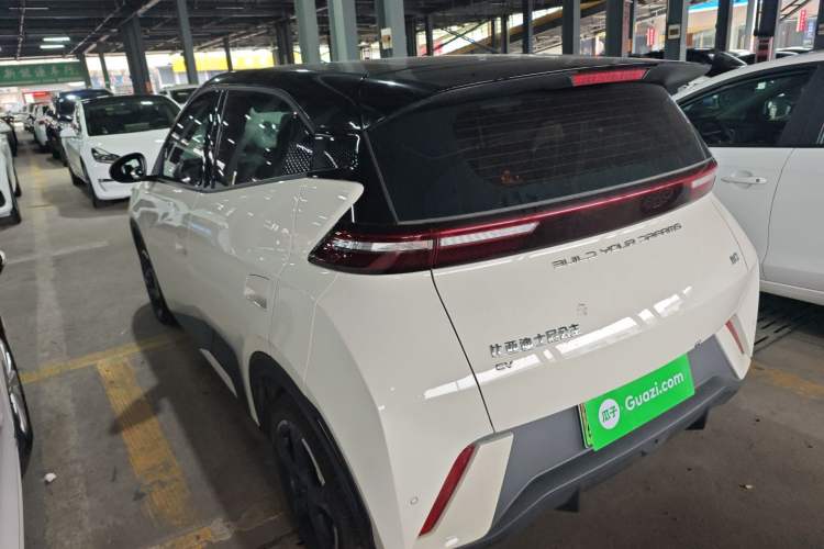 Used BYD Seagull 2023 Free Edition Rear Left 45 Deg