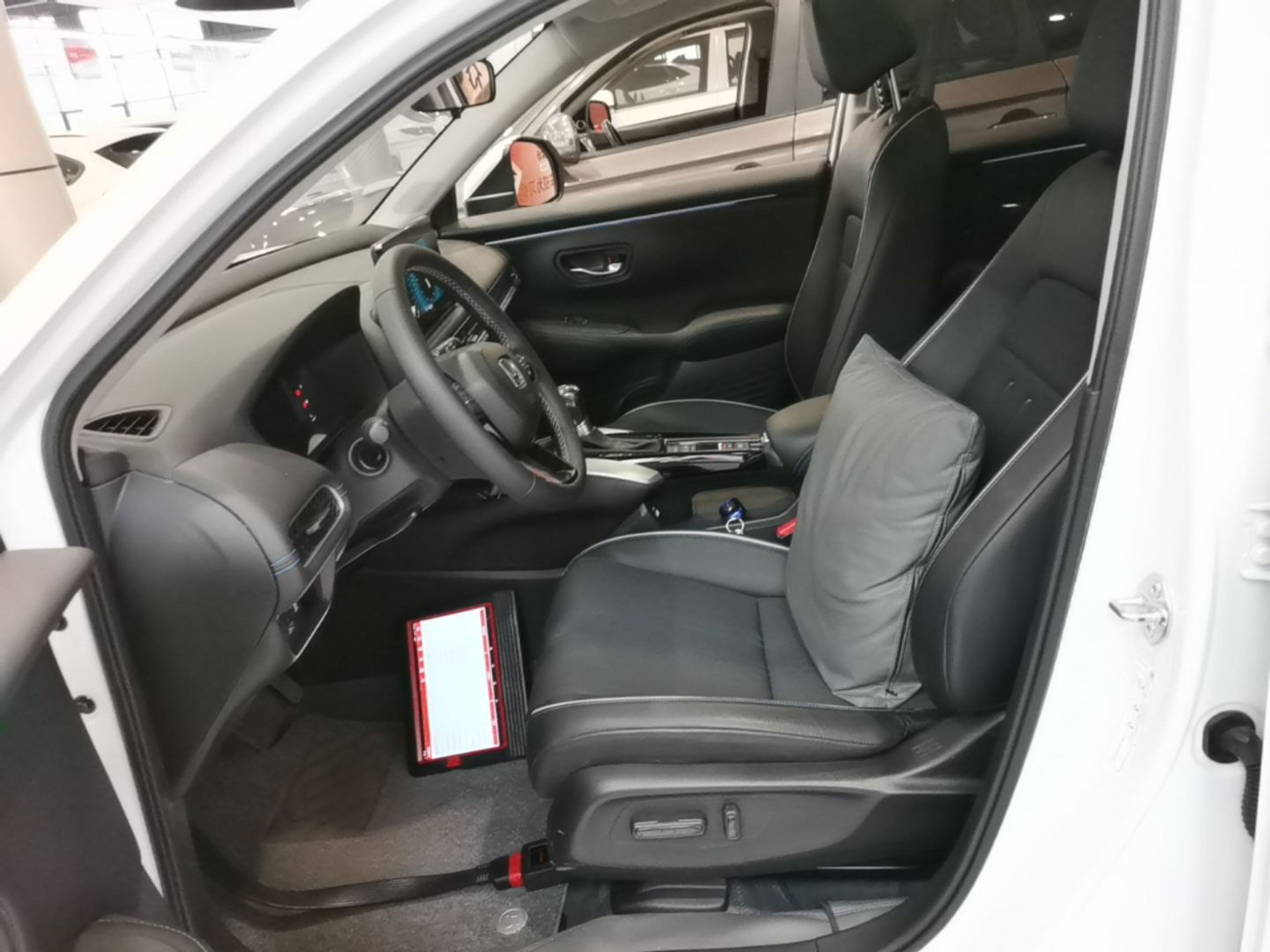 Interior delantero