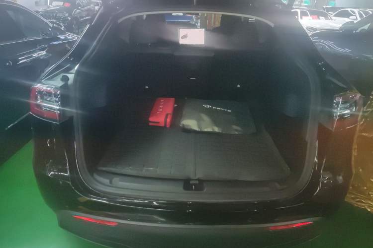 Used Tesla Model Y 2021 Standard Range Rear-Wheel Drive Version