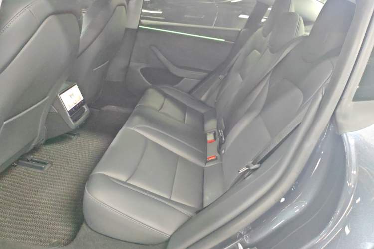 Used Tesla Model 3 2023 Long-Range All-Wheel-Drive Version Left Rear Seat