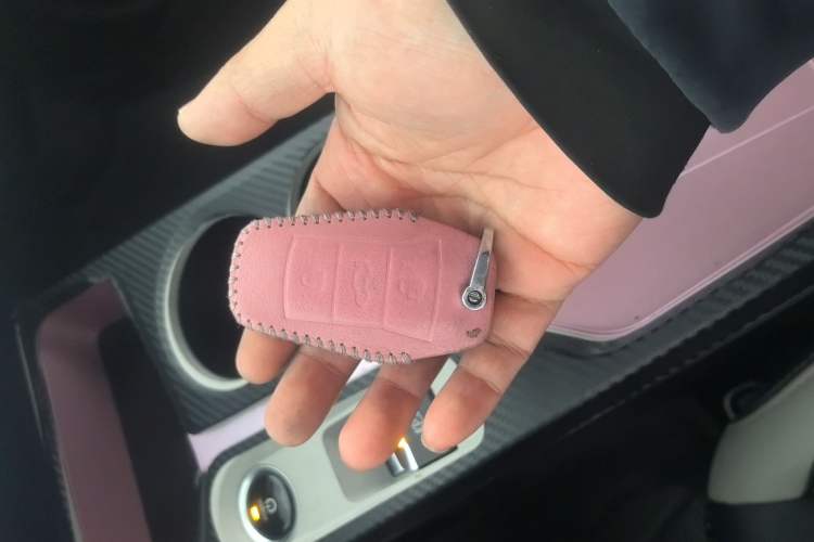 Used SOL E10X 2021 Jimei Edition 302km Fashionable Model