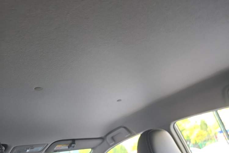 Used Toyota YARiS L Zhi Xuan 2020 X-Trail X 1.5L CVT Leading Edition Headliner