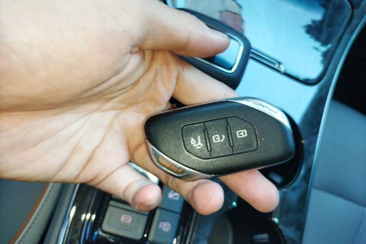 Used FORTHING Yacht 2022 1.5T DCT Lan Yue Edition
