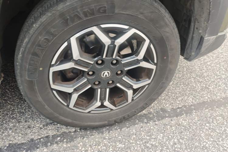 Used CHANGAN Lantop 2023 2.0T Automatic All-Wheel Drive Gasoline Flagship Standard Cab
