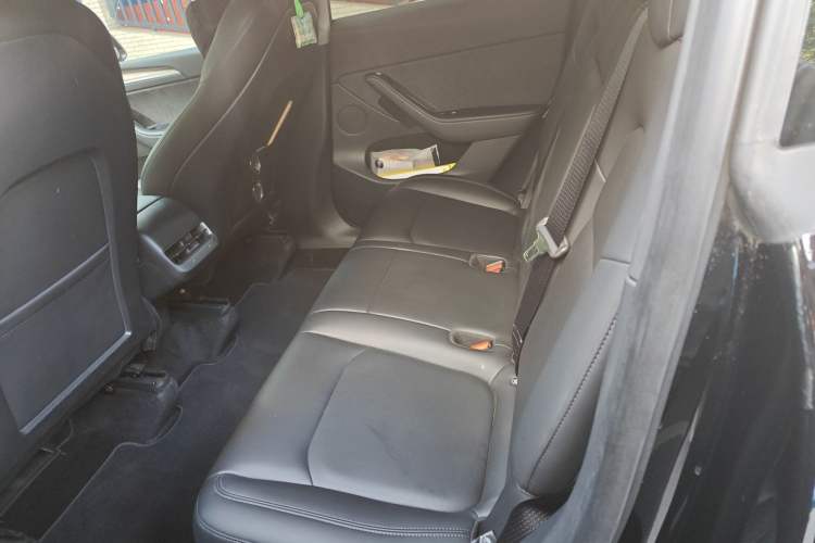 Used Tesla Model Y 2021 Long-Range All-Wheel-Drive Version Left Rear Seat