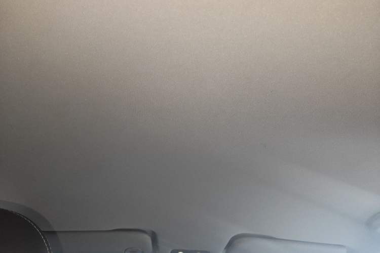 Used NETA V 2021 Long-Range Entertainment Edition Upgrade Model
