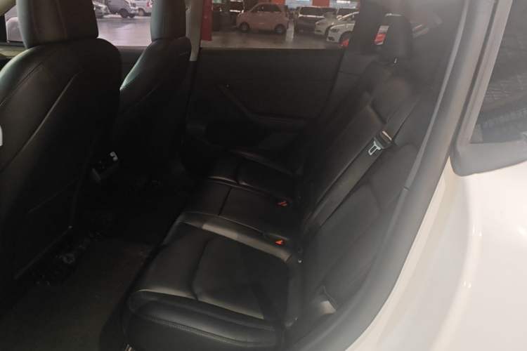 Used Tesla Model Y 2021 Standard Range Rear-Wheel Drive Version
