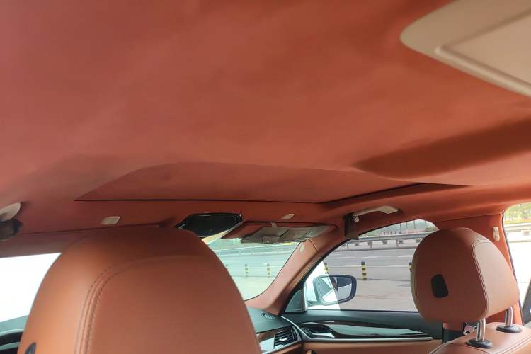 Used BMW 5 Series 2018 528Li Launch Special Edition Headliner