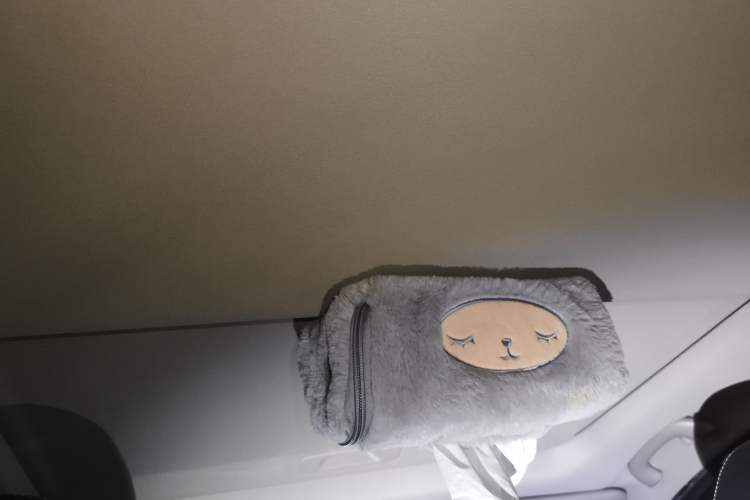 Used Baojun 730 2019 1.5T CVT Flagship Version 7 Seats China V Emission Standard Headliner