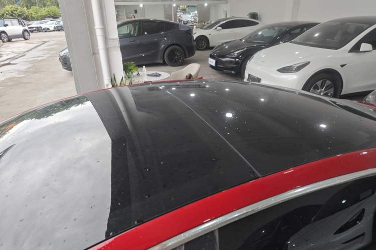 Used Tesla Model 3 2020 Standard Range Rear-Wheel Drive Upgraded Version Roof