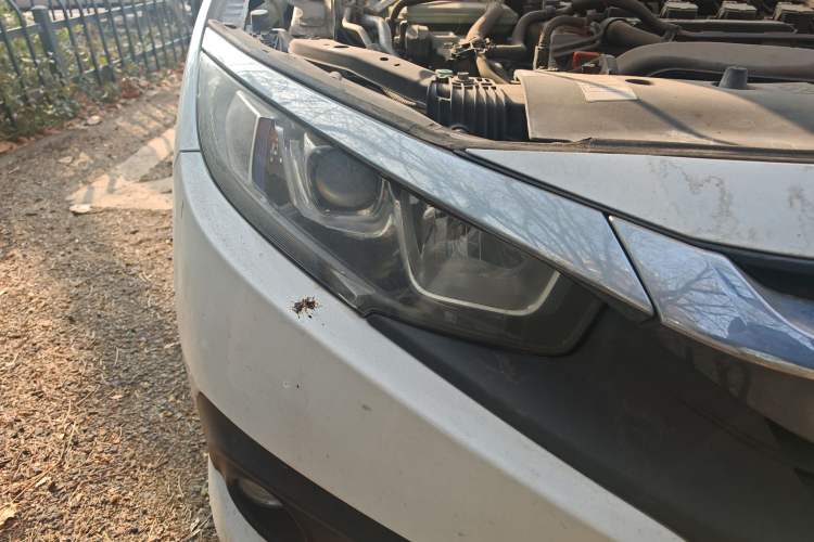 Used Honda Civic 2016 220TURBO Manual Luxury Edition
