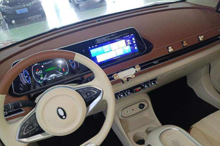 Used ORA Good Cat 2023 401 km Standard Range Premium Version Lithium Iron Phosphate
