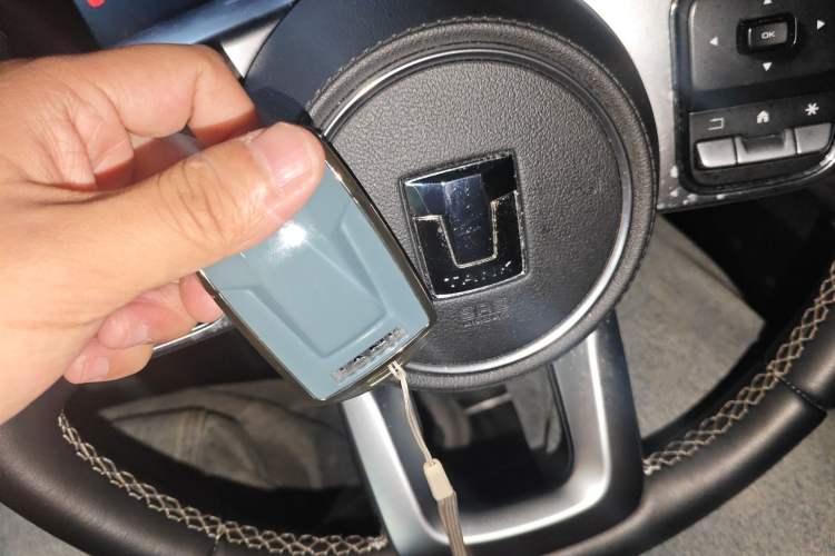 Used Tank 300 2021 City Edition 2.0T—Truly Stylish