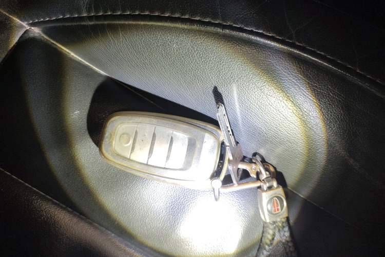 Used Hongqi H5 2020 1.5T DCT Flagship Edition
