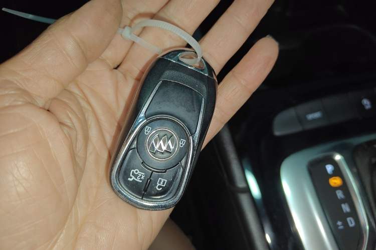 Used Buick Regal 2019 20T Elite Version China VI Standard