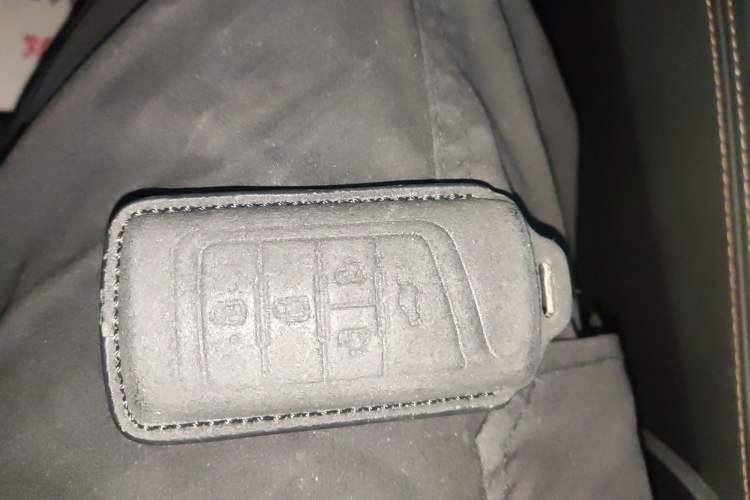 Used GAC Trumpchi GS8 2017 320T Two-Wheel Drive Luxury Smart Connectivity Version (7 Seats) Interior 1