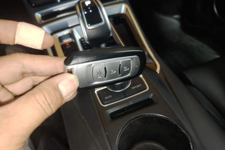 Used Geely Auto Emgrand New Energy 2019 EV500 Ambition Standard Range Edition Interior 1