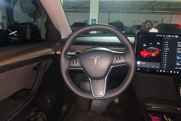 Used Tesla Model Y 2021 Standard Range Rear-Wheel Drive Version
