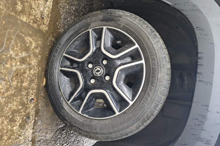 Used Dongfeng NAMMI EX1 2022 PRO Tiger Glory Advanced Model