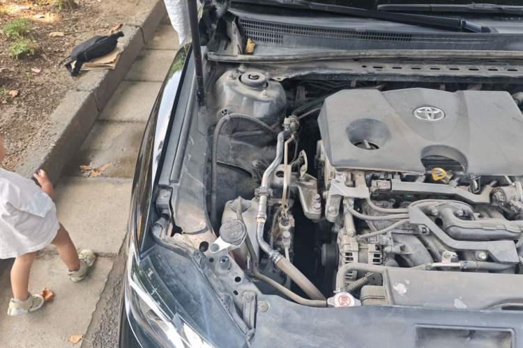 Used Toyota Camry 2021 2.0G Luxury Edition