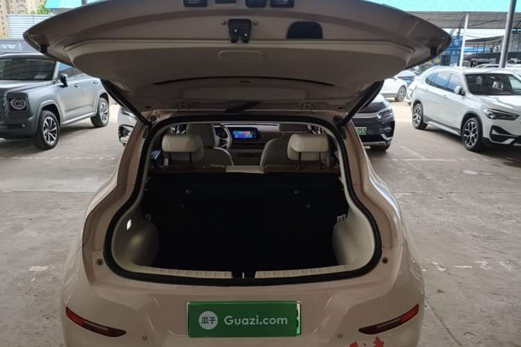 Used ORA Good Cat 2022 Morandi Edition 400km Standard Range Premium Version Lithium-Ion Battery
