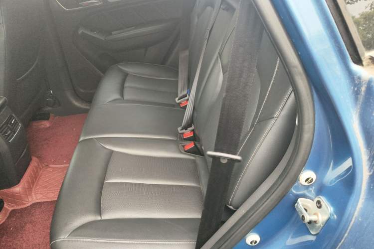 Used Roewe RX5 2016 20T Two-Wheel Drive Automatic Internet Smart Edition Left Rear Seat