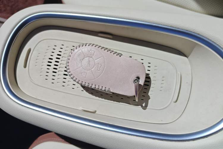 Used ORA Good Cat 2023 401 km Standard Range Prestige Version Lithium Iron Phosphate Interior 1