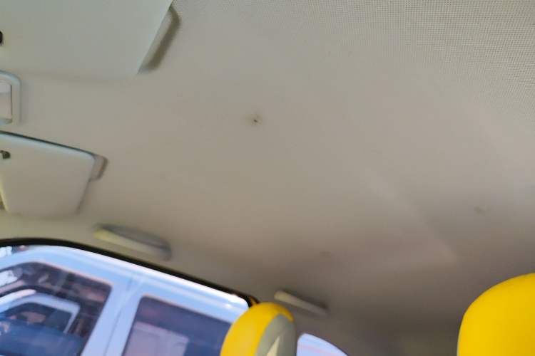 Used Wuling Hongguang MINIEV 2021 Macaron Premium Model – Lithium-NMC Headliner