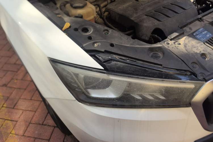 Used BORGWARD BX5 2017 20TGDI Automatic Two-Wheel Drive Leading Edition