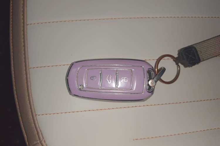 Used Geely Galaxy Panda 2023 Panda Mini 200km Endurance Bear