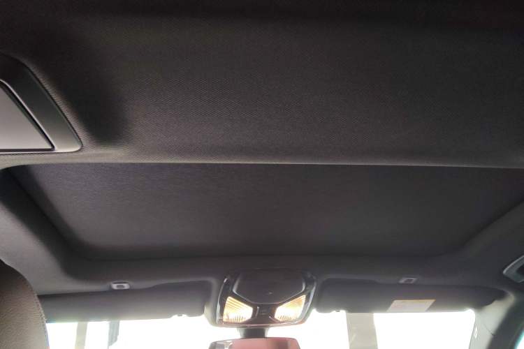 Used BMW 5 Series 2020 530Li Leading Model M Sport Package Headliner