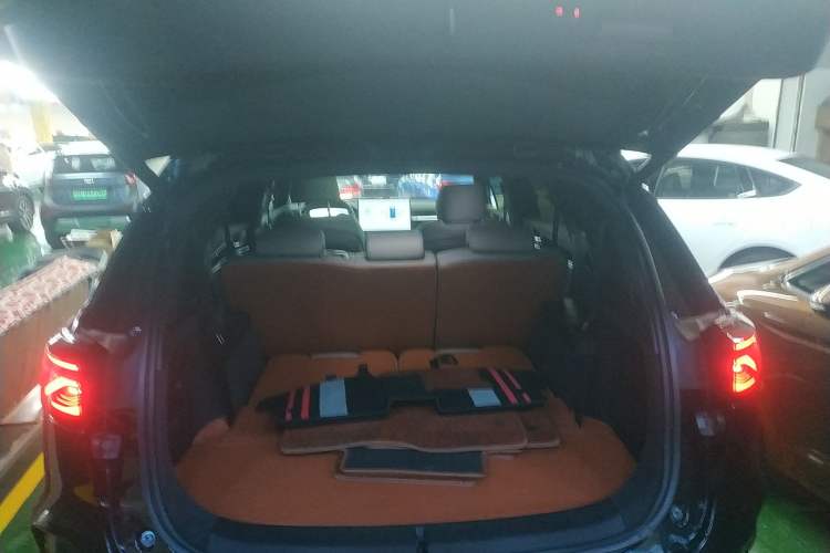 Used BYD Tang New Energy 2025 DM-i 115KM Prestige Model