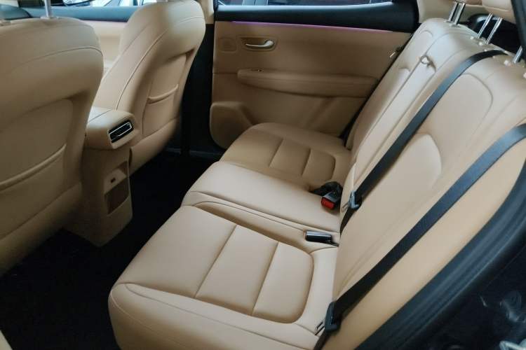 Used Landian E5 PLUS 2025 165 km Long-Range Version PLUS 5-Seater