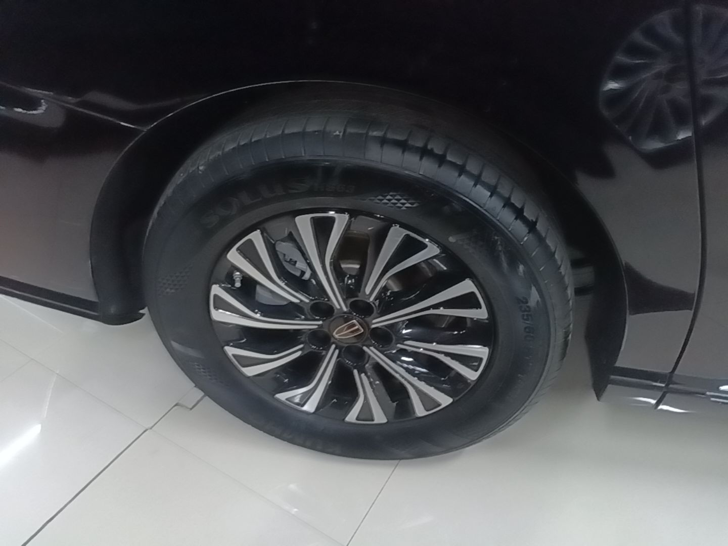 Hongqi HQ9 PHEV 2024 2.0T Four-Wheel Drive Luxury Edition — снимка 11