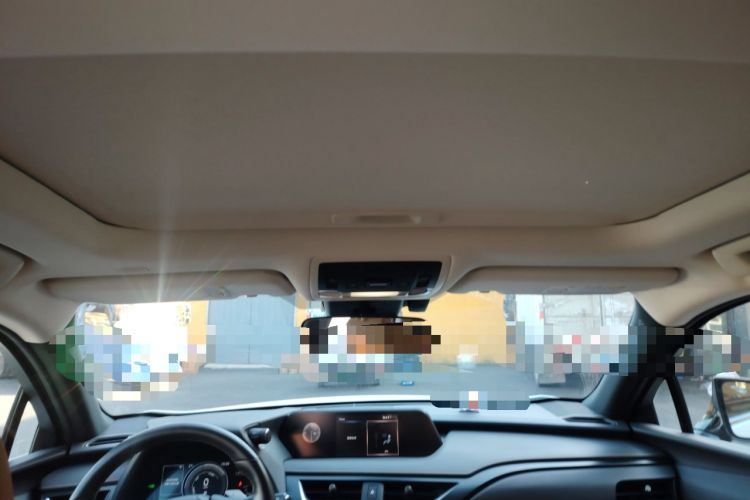 Used Lexus UX New Energy 2020 300e Pure·Joy Edition