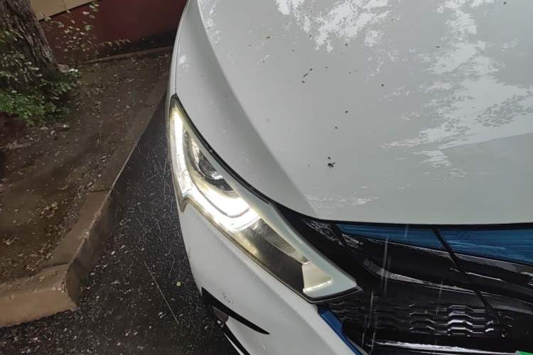 Used BYD Qin New Energy 2016 Qin EV300 Prestige Model

