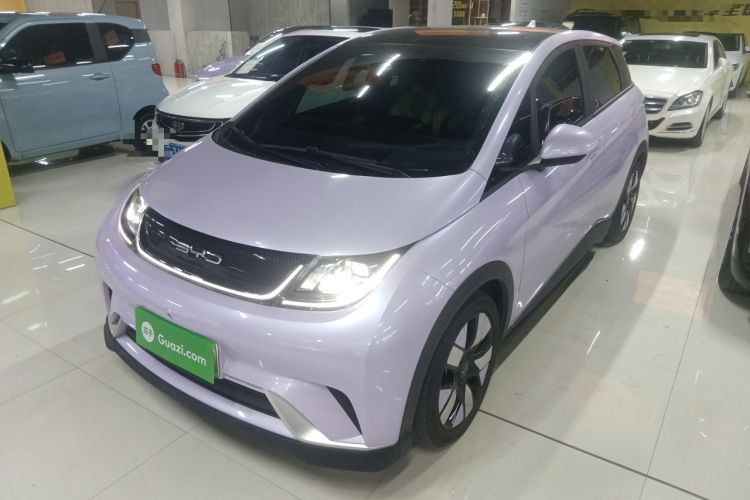 Used BYD Dolphin 2021 401km Knight Edition