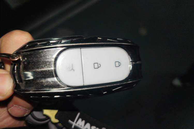 Used Leapmotor C11 2024 Range-Extended 300 Luxury Edition