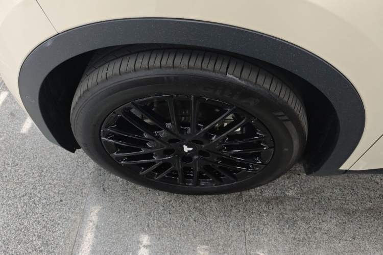 Used firefly firefly 2025 Illuminated Edition